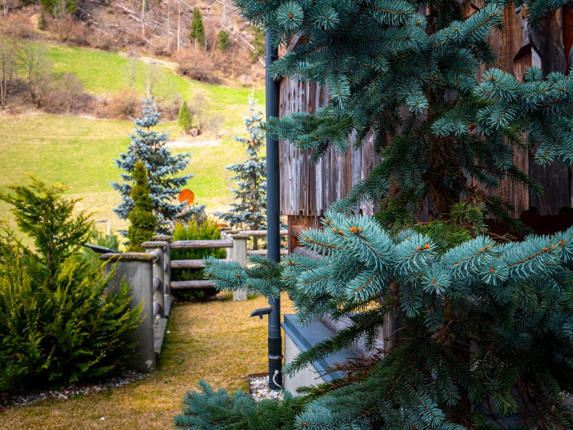Alpine Mountain Chalet San Vigilio Di Marebbe Εξωτερικό φωτογραφία
